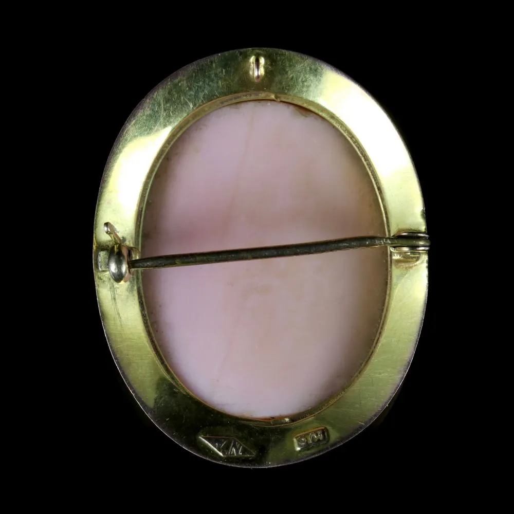 Antique Victorian Coral Cameo Brooch 9Ct Circa 1900