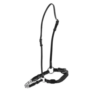 GERMAN HALTER WITH CHAIN Black